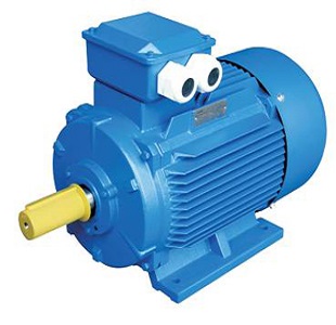 Y2 SERIES THREE-PHASE