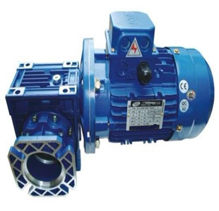 RV series worm gear reducer