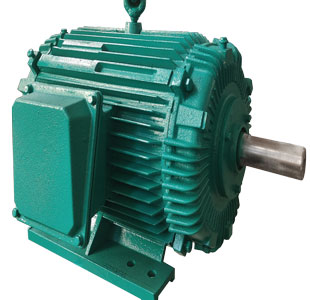 NEMA Standard Motors