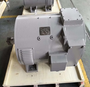 ZZJ-800,ZZJ-900 Sereis DC motor