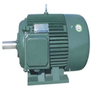 Marine Electric Motor